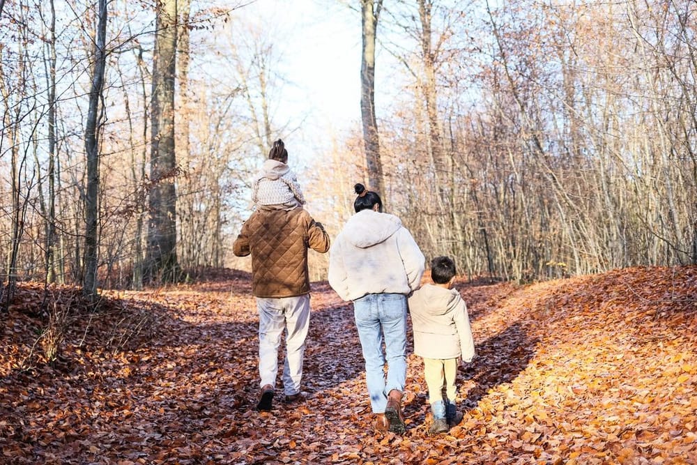 Vitamine D in het najaar: wie moet er in Nederland écht suppleren