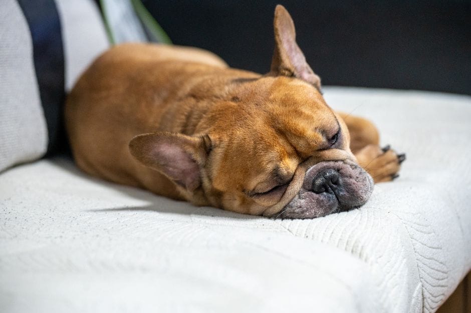 Powernap: hoe lang is ideaal?